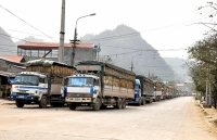 Tiếp cận thị trường Trung Quốc: Dẹp bỏ tư duy manh mún, nhỏ lẻ