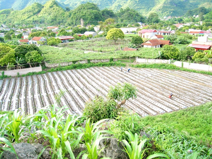 Giúp phụ nữ khởi nghiệp, kinh doanh, liên kết chuỗi giá trị giup phu nu khoi nghiep kinh doanh lien ket chuoi gia tri