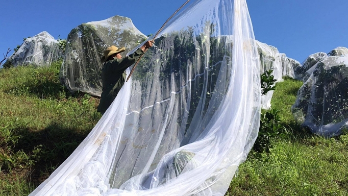 5 sản phẩm tham gia OCOP năm 2019 5 san pham tham gia ocop nam 2019