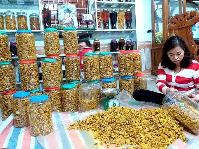 can bao ton nhan rong giong tra quy