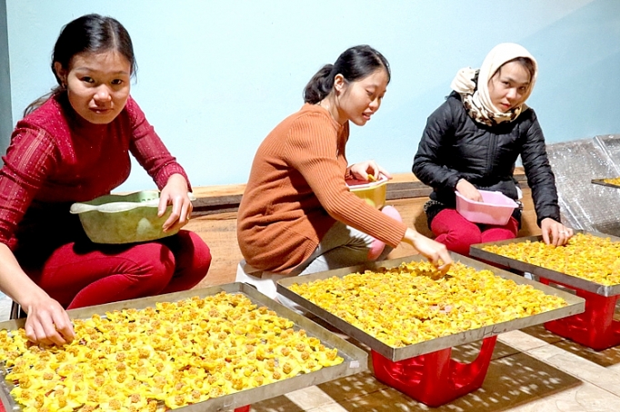 can bao ton nhan rong giong tra quy