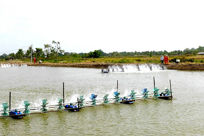 Phòng tránh tai nạn về điện mùa mưa bão phong tranh tai nan ve dien mua mua bao