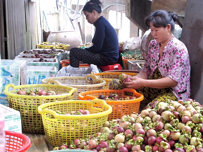 giay thong hanh de mang cut dau tieng vuon xa
