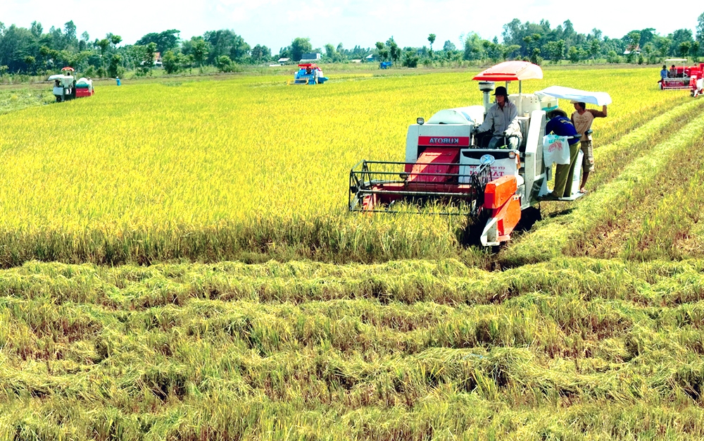 undefined 0021 tr 45