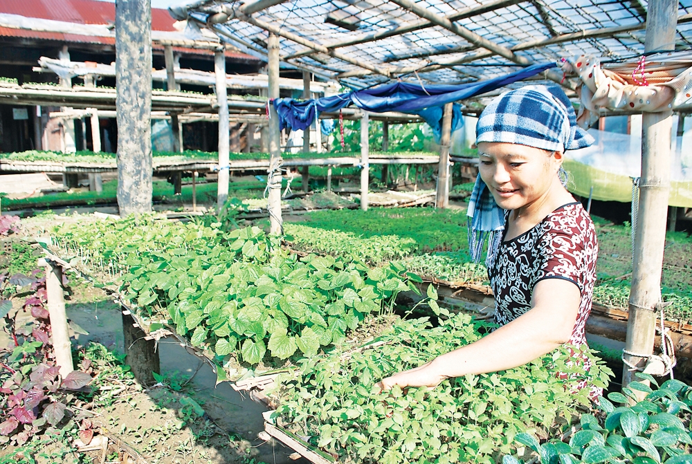 3523 dai loc tren duong phat trien du lych nang tam cao moi5