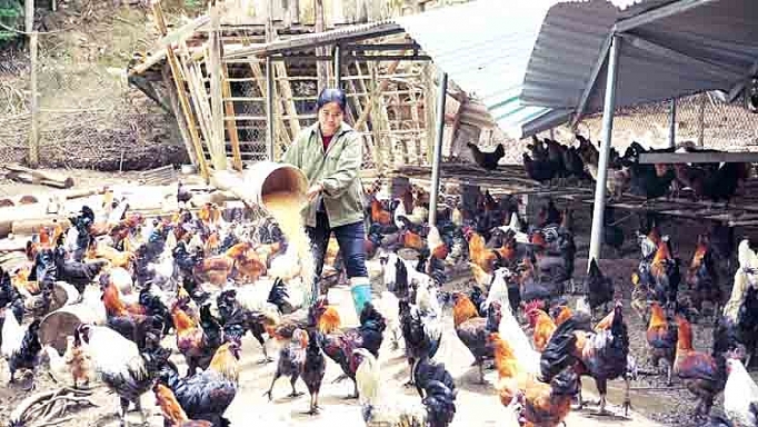 dong bao dan toc thoat ngheo tu von chinh sach