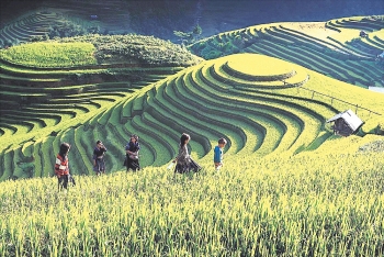 Mù Cang Chải (Yên Bái): Du lịch xanh gắn với bảo tồn bản sắc văn hóa