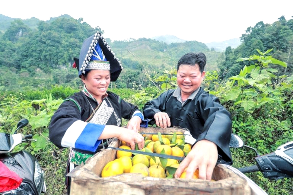 undefined 3416-tr-89-ok