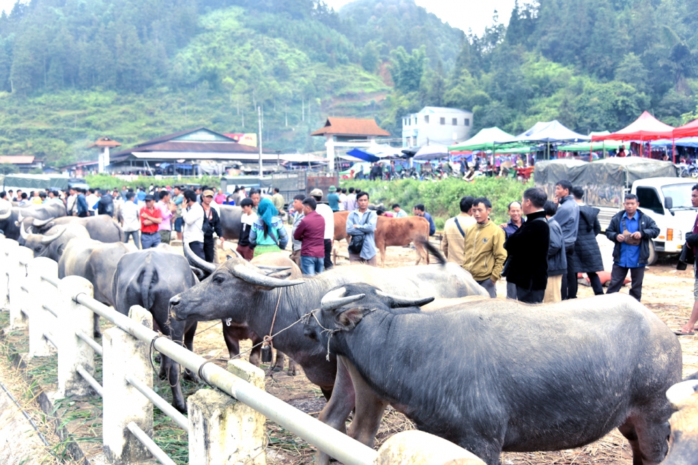 undefined 3418-tr-89