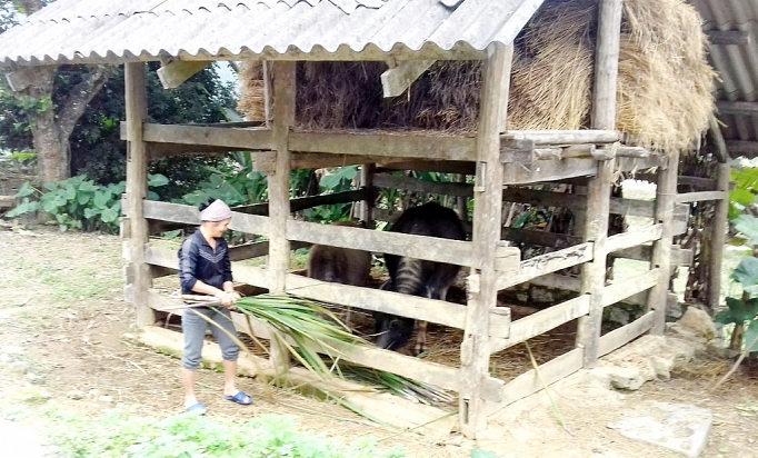 Khó đạt tiêu chí môi trường kho dat tieu chi moi truong