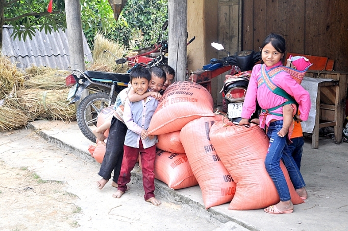 Mùa vàng trên rẻo cao mua vang tren reo cao
