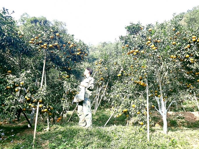 nhung doi thay o bach thong