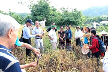A Lưới: Phát triển nông nghiệp theo hướng bền vững