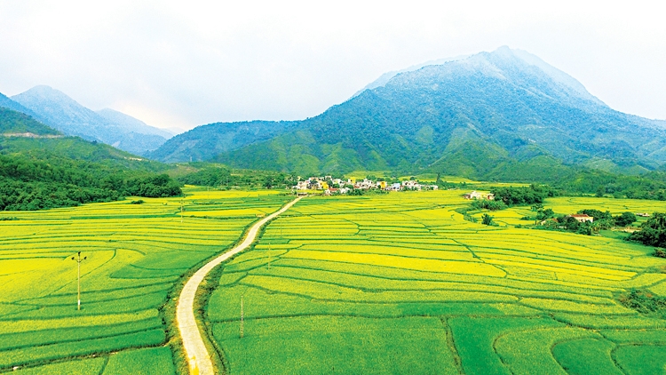 undefined 4441-anh-5