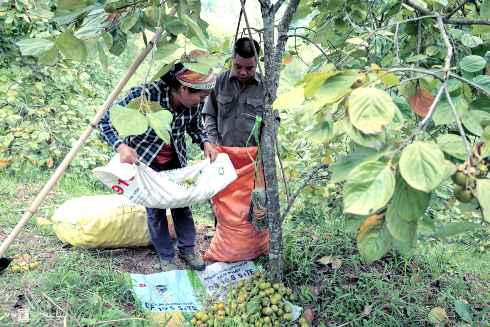 undefined 4445-tr-18-19