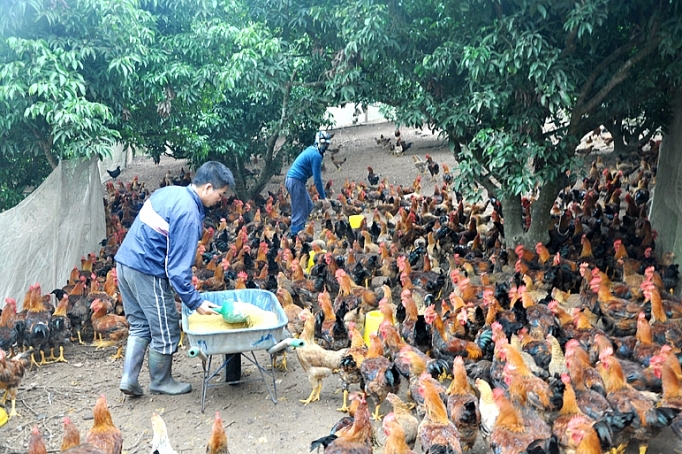 Khi đích đến chính là người dân khi dich den chinh la nguoi dan