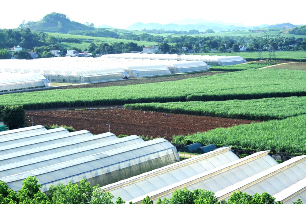 undefined 2018-bai-6