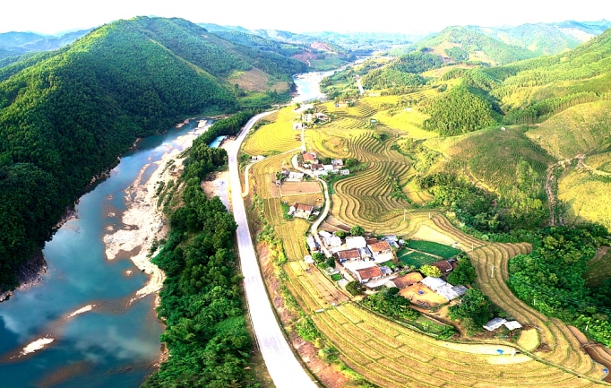 binh lieu buoc vuon minh manh me