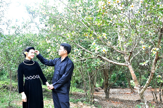 binh lieu buoc vuon minh manh me