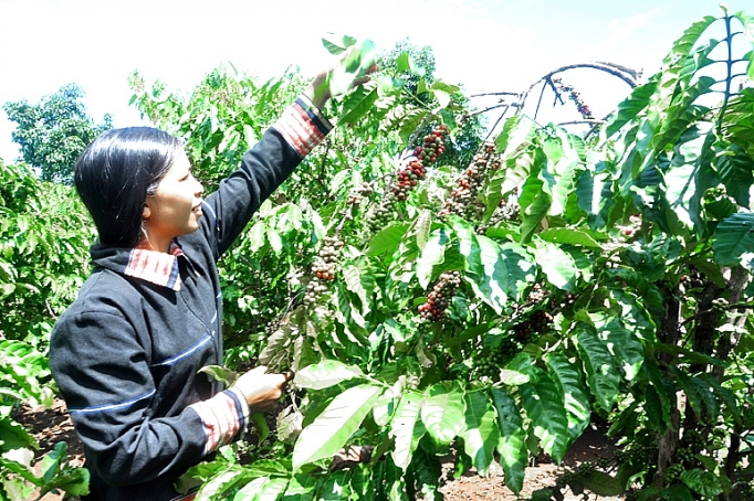 Tín dụng chính sách với đồng bào DTTS: Chuyển từ “cho không” sang “hỗ trợ có điều kiện” tin dung chinh sach voi dong bao dtts chuyen tu cho khong sang ho tro co dieu kien
