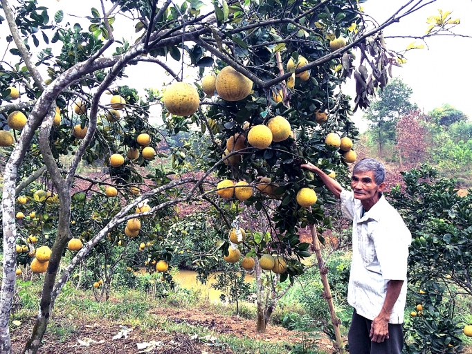 Góp phần thực hiện tốt mục tiêu giảm nghèo bền vững gop phan thuc hien tot muc tieu giam ngheo ben vung