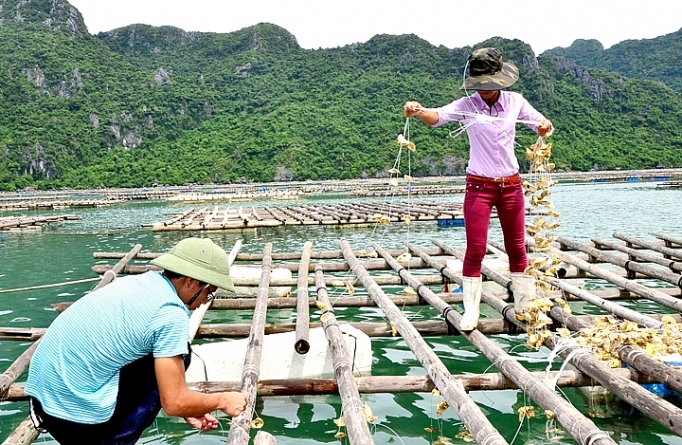 phat trien kinh te keo nong thon khoi sac