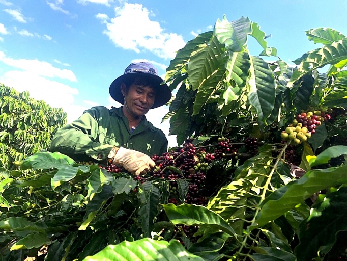 Ngày thứ bảy vì nông thôn mới ngay thu bay vi nong thon moi
