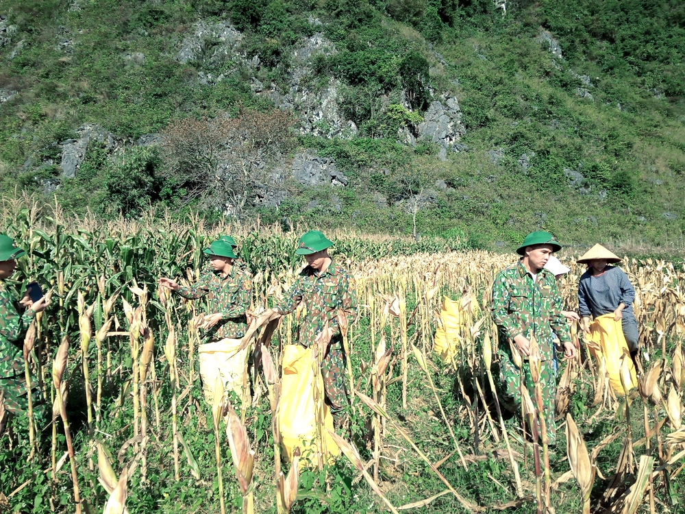 undefined 5524-anh-89-1