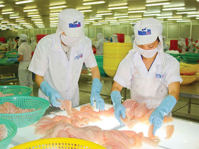 Lùi thời gian công bố thuế chống phá giá cá tra tại Mỹ Lùi thời gian công bố thuế chống phá giá cá tra tại Mỹ