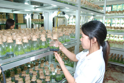 Phòng thí nghiệm trọng điểm: Giải “bài toán” yếu kém