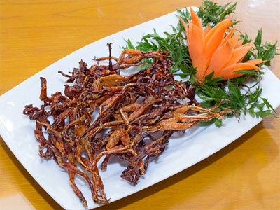 “Vũ nữ chân dài” món ngon miền Tây sông nước