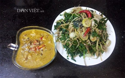 Độc đáo món rau rừng đồ chấm lòng cá của người Mường Độc đáo món rau rừng đồ chấm lòng cá của người Mường