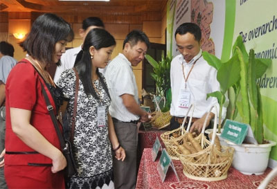 Giá trị sản xuất công nghiệp Bắc Trung Bộ ổn định và tăng trưởng cao