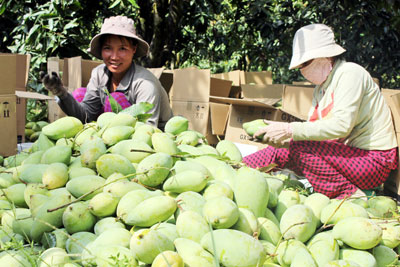 Tăng cường quảng bá nông sản Việt 