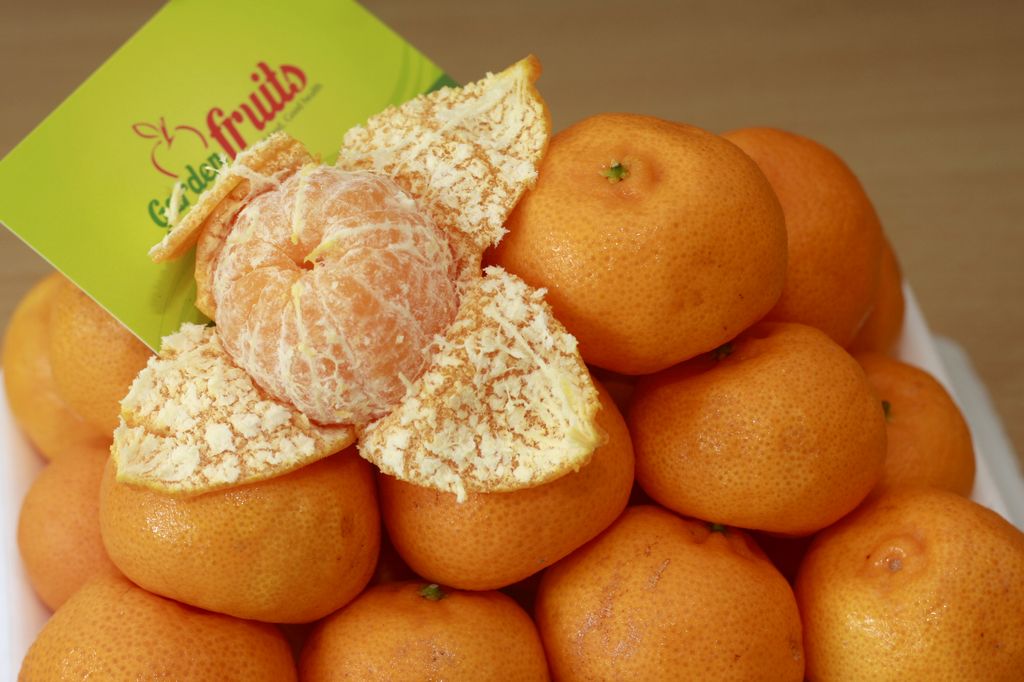 Mở cửa lại thị trường cho cam, quýt và nho của Australia