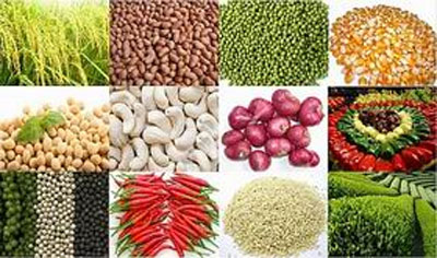 Chính sách mới trong xuất khẩu nông sản vào Indonesia 