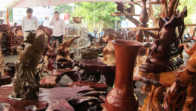 Bình Định: Giải pháp đồng bộ phát triển công nghiệp nông thôn Bình Định: Giải pháp đồng bộ phát triển công nghiệp nông thôn