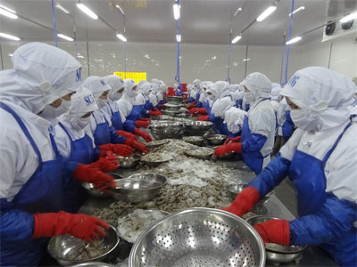 Xuất khẩu thủy sản khó đạt 7 tỷ USD. Xuất khẩu thủy sản khó đạt 7 tỷ USD.