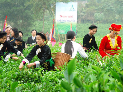 Phát huy bản sắc, nâng tầm thương hiệu Festival Trà Thái Nguyên