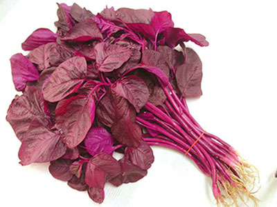 Rau dền - “rau trường thọ” Rau dền - “rau trường thọ”