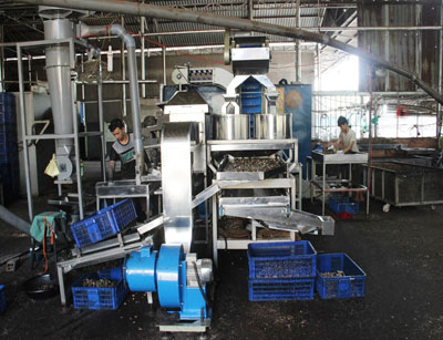 Khu vực phía Nam: Đẩy nhanh giải ngân kinh phí khuyến công