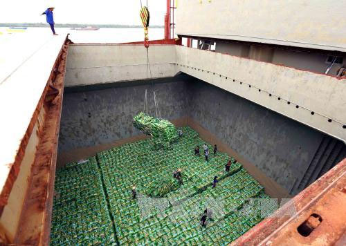 Doanh nghiệp Trung Quốc tìm hiểu thị trường gạo An Giang Doanh nghiệp Trung Quốc tìm hiểu thị trường gạo An Giang