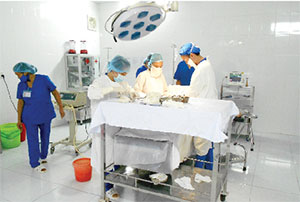 Bệnh viện Đa khoa huyện Đông Hưng: Nâng cao chất lương khám chữa bệnh