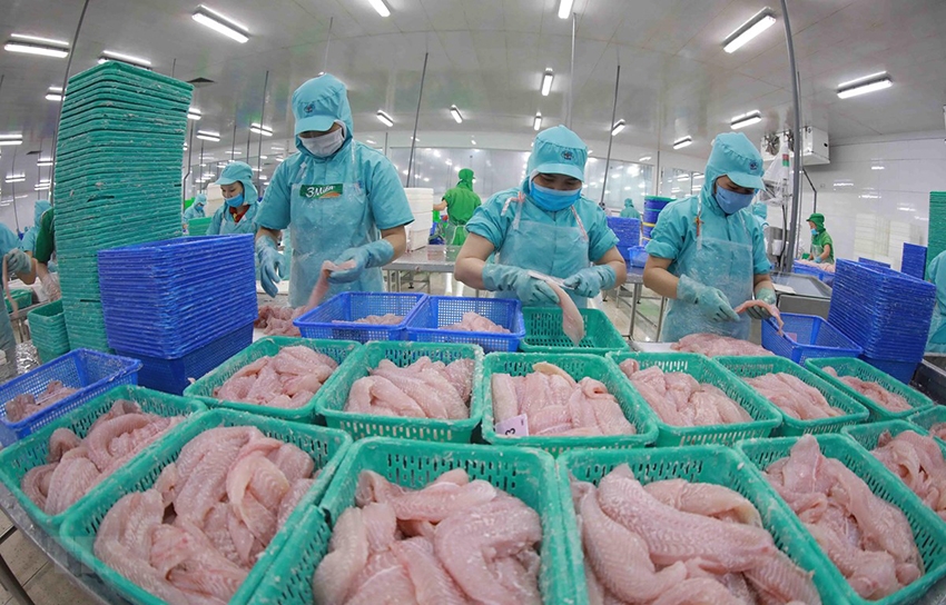Thuỷ sản nằm trong nhóm hàng đạt kim ngạch xuất khẩu trên 1 tỷ USD sang thịt rườ Thuỷ sản nằm trong nhóm hàng đạt kim ngạch xuất khẩu trên 1 tỷ USD sang thịt rườ