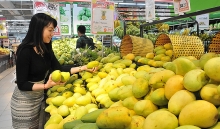 Xuất khẩu sang thị trường Ấn Độ: Sử dụng công cụ thương mại hợp pháp