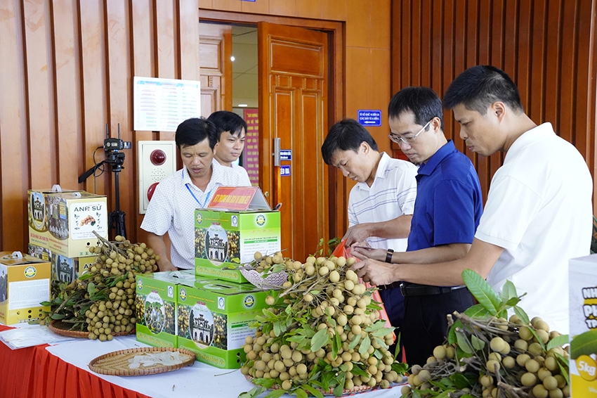 Các cấp chính quyền tỉnh, hợp tác xã, doanh nghiệp phân phối bắt tay tiêu thụ nhãn, nông sản Hưng Yên
