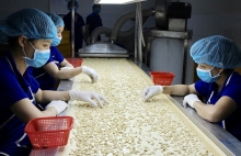 Bộ Công Thương tiếp tục hỗ trợ doanh nghiệp xuất khẩu vượt khó