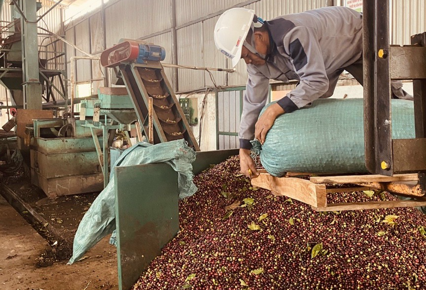 Kon Tum: Tăng cường phổ biến nâng cao nhận thức về hiệp định CPTPP, EVFTA