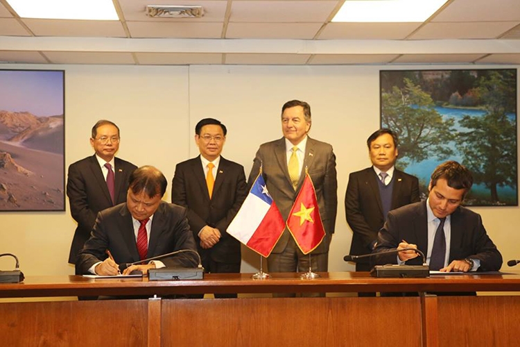 Việt Nam- Chile: Tận dụng CPTPP để kết nối thị trường viet nam chile tan dung cptpp de ket noi thi truong