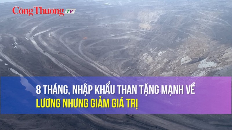 8 tháng, nhập khẩu than tăng mạnh về lượng nhưng giảm trị giá